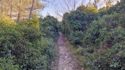 Aramon_26_01-161