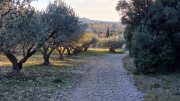 Aramon_26_01-162