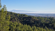 Aramon_26_01-20