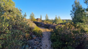 Aramon_26_01-21