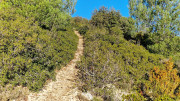 Aramon_26_01-27