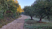 Aramon_26_01-3