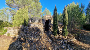Aramon_26_01-67