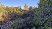 Aramon_26_01-69