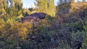 Aramon_26_01-70