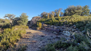 Aramon_26_01-72