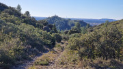 Aramon_26_01-78