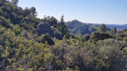 Aramon_26_01-79