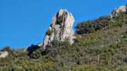 Aramon_26_01-89