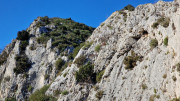 Aramon_26_01-91