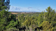 Aramon_26_01-93