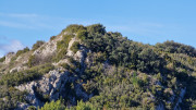 Aramon_26_01-97