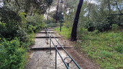Barbentane_26_03-15