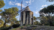 Barbentane_26_03-17