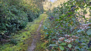 Barbentane_26_03-19
