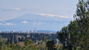 Barbentane_26_03-20