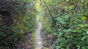 Barbentane_26_03-22