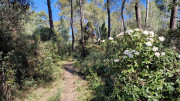 Barbentane_26_03-24