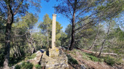 Barbentane_26_03-26