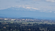 Barbentane_26_03-31