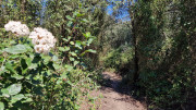 Barbentane_26_03-43