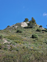 Barbentane_26_03-47