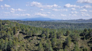 Barbentane_26_03-63