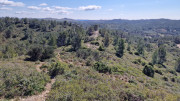 Barbentane_26_03-73