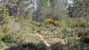 Barbentane_26_03-75