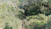 Barbentane_26_03-77