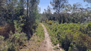 Barbentane_26_03-78
