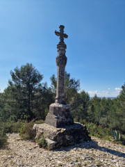 Barbentane_26_03-80