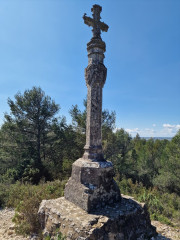 Barbentane_26_03-81