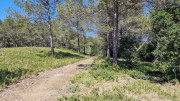Barbentane_26_03-83