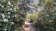 Barbentane_26_03-86