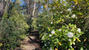 Barbentane_26_03-87