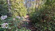 Barbentane_26_03-88