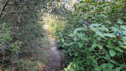 Barbentane_26_03-89