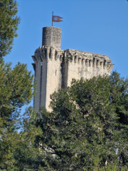Barbentane_26_03-93