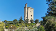 Barbentane_26_03-94