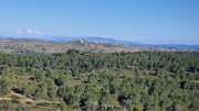 Boulbon_26_03-114