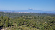 Boulbon_26_03-119
