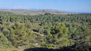 Boulbon_26_03-122