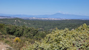 Boulbon_26_03-128