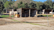 Boulbon_26_03-139