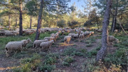 Boulbon_26_03-142