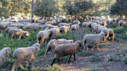 Boulbon_26_03-143