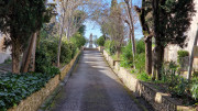 Boulbon_26_03-38