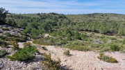 Boulbon_26_03-64