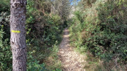 Boulbon_26_03-66